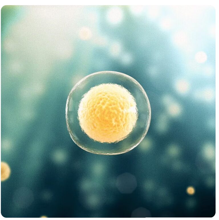 Exosome cell illustration